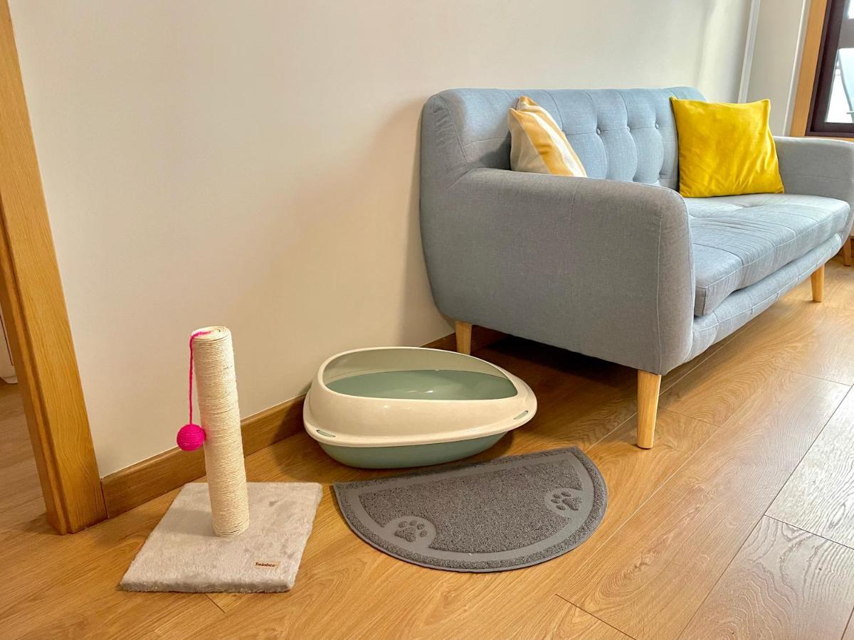Estudio Centrico 1 Con Terraza Y Parking Privado Orense Kültér fotó